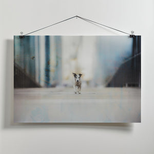 Art Prints of Industrial Molly
