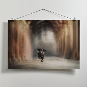 Art Prints of "He who leaps for the sky may fall, it's true. But he may also fly.”  ― Lauren Oliver