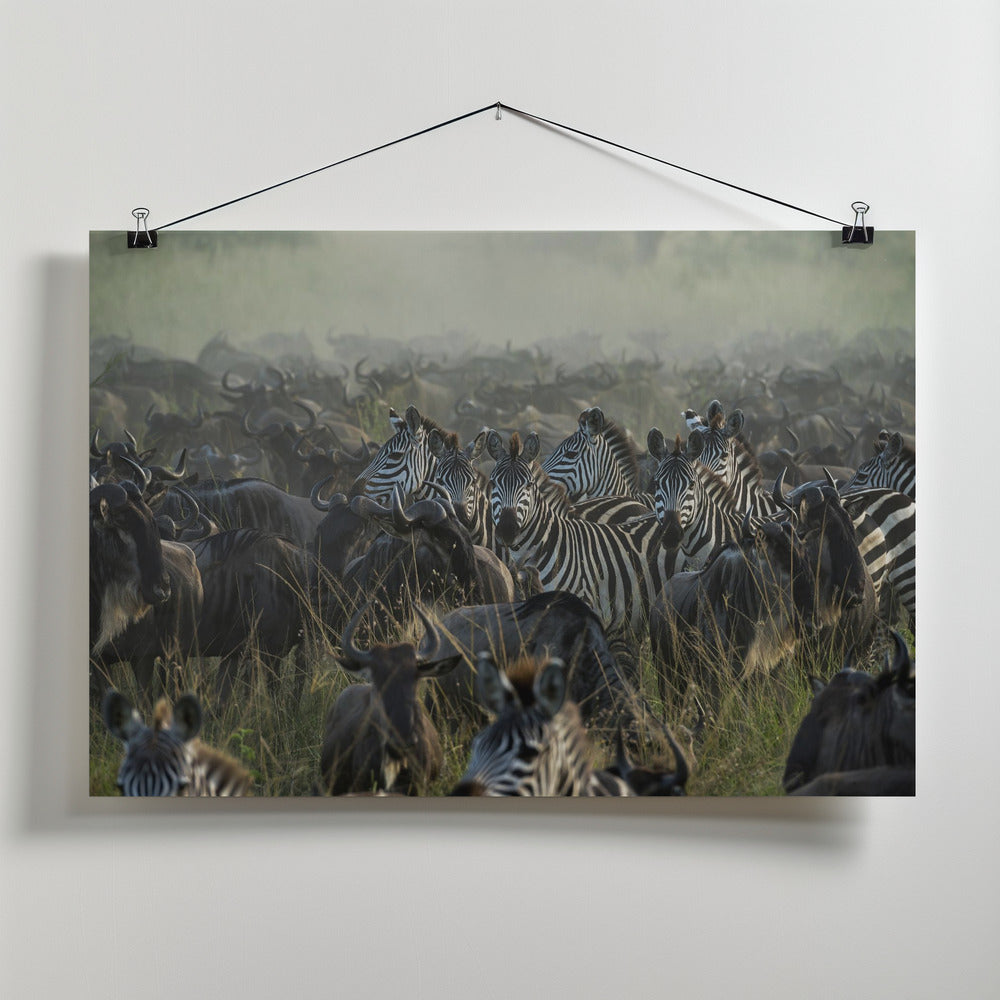 Art Prints of The Great migration