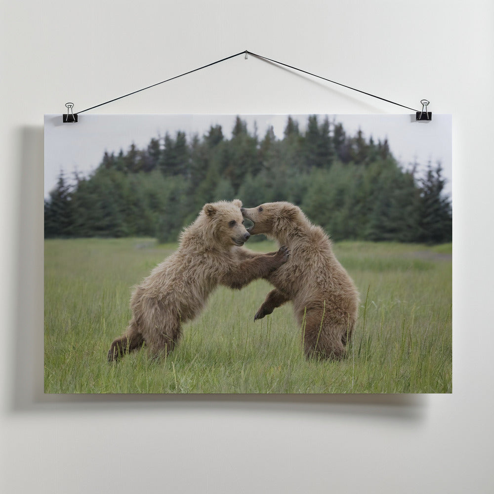 Art Prints of Playful