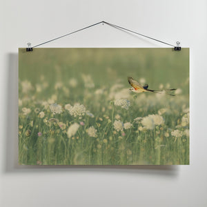 Art Prints of Spring Messager