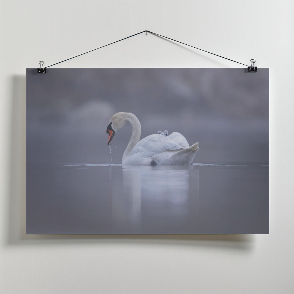Art Prints of Joy ride
