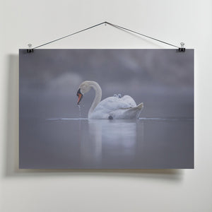 Art Prints of Joy ride