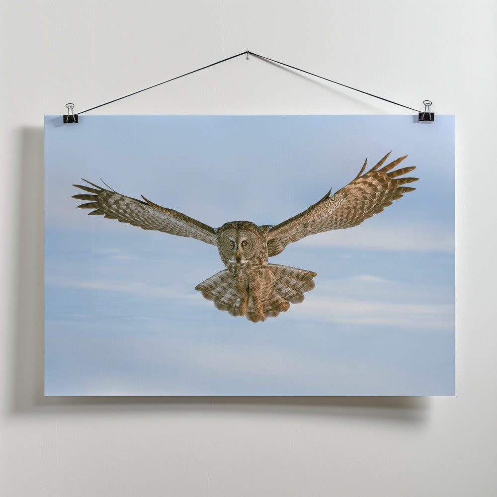 Art Prints of Landing