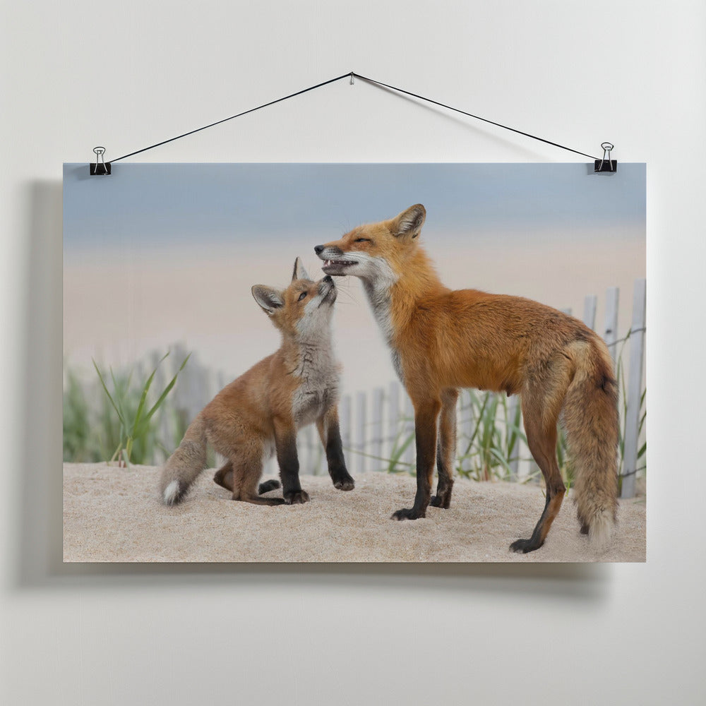 Art Prints of A Kiss