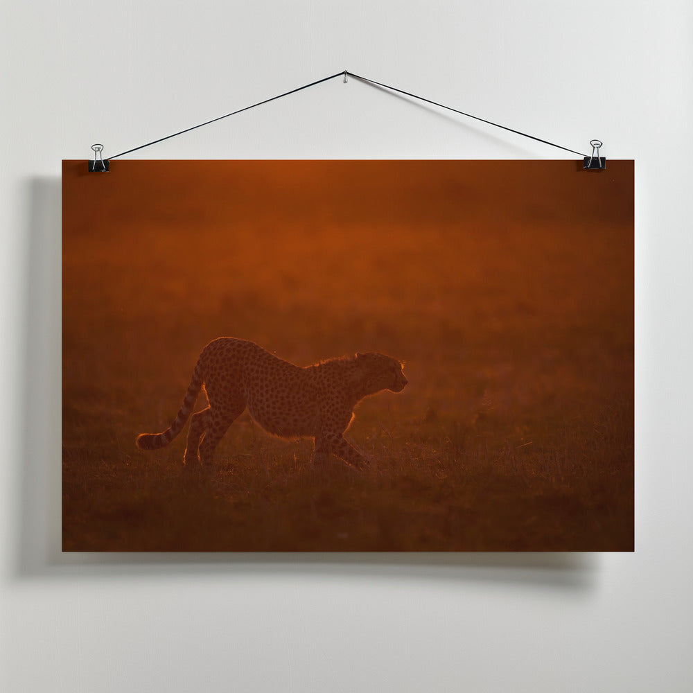 Art Prints of Red light