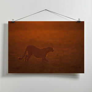 Art Prints of Red light