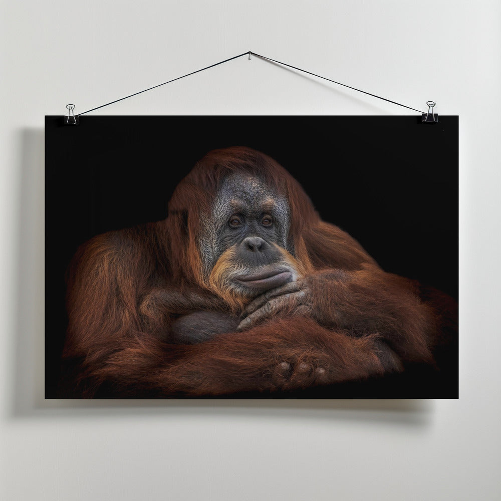Art Prints of Moments