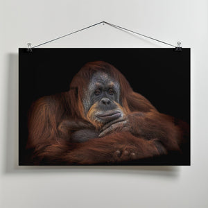Art Prints of Moments