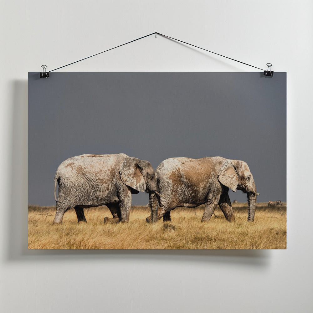 Art Prints of Two