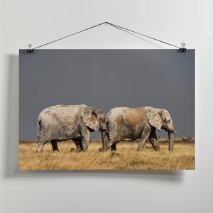 Art Prints of Two