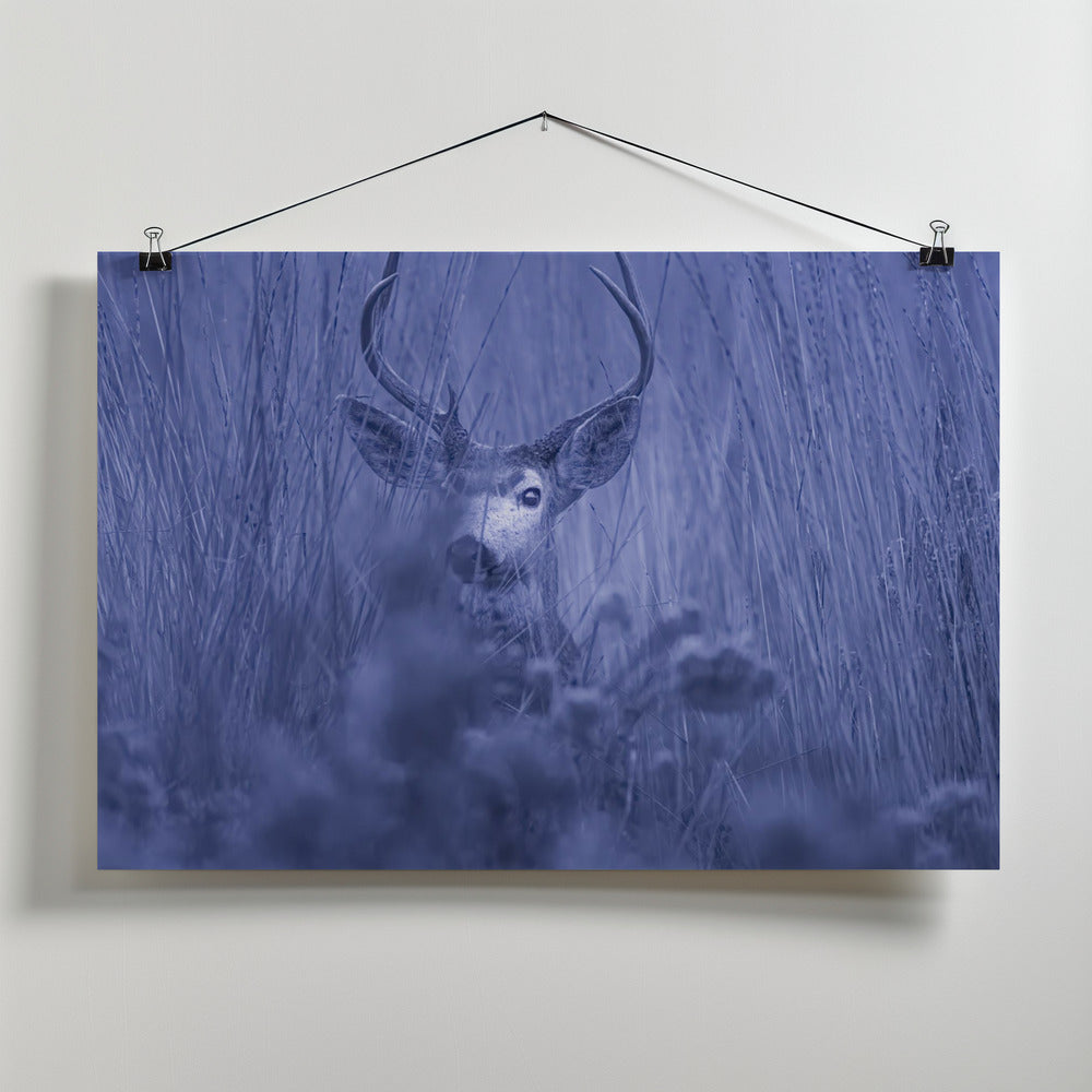 Art Prints of winter night