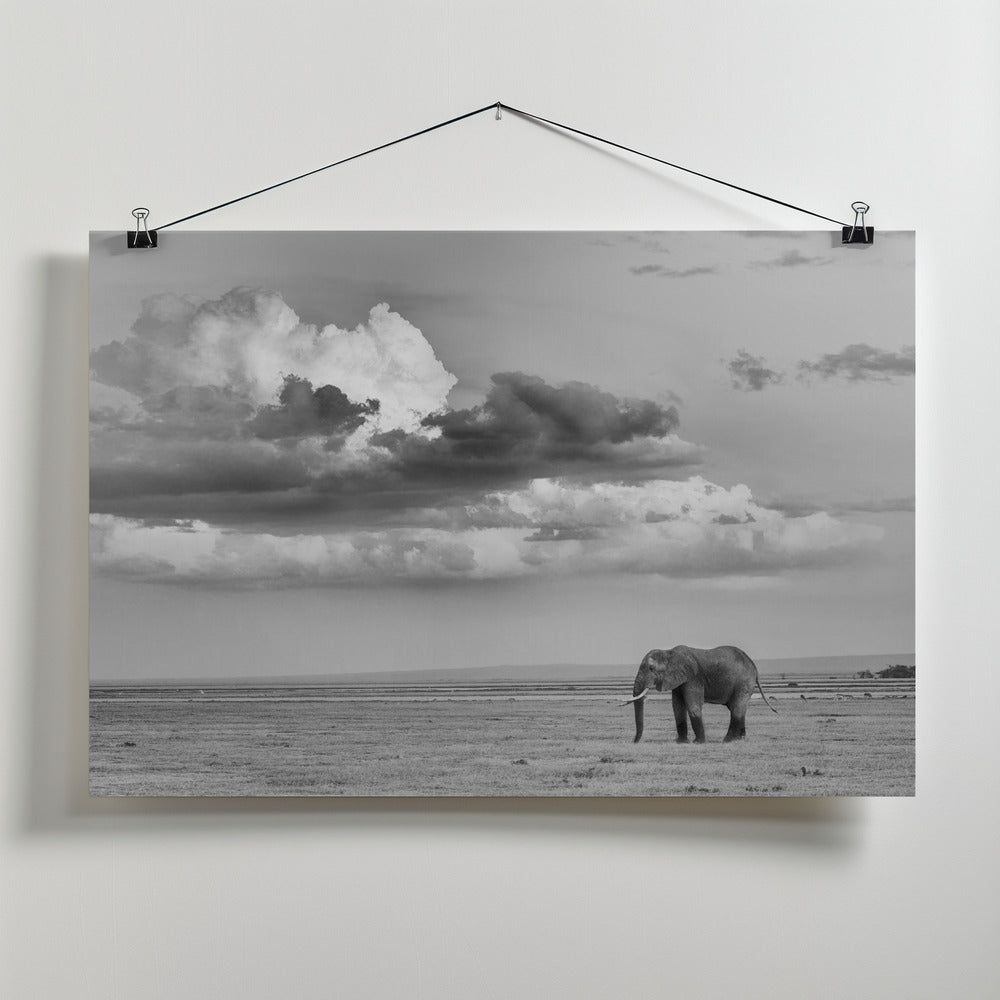 Art Prints of Alone