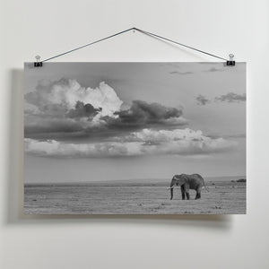 Art Prints of Alone