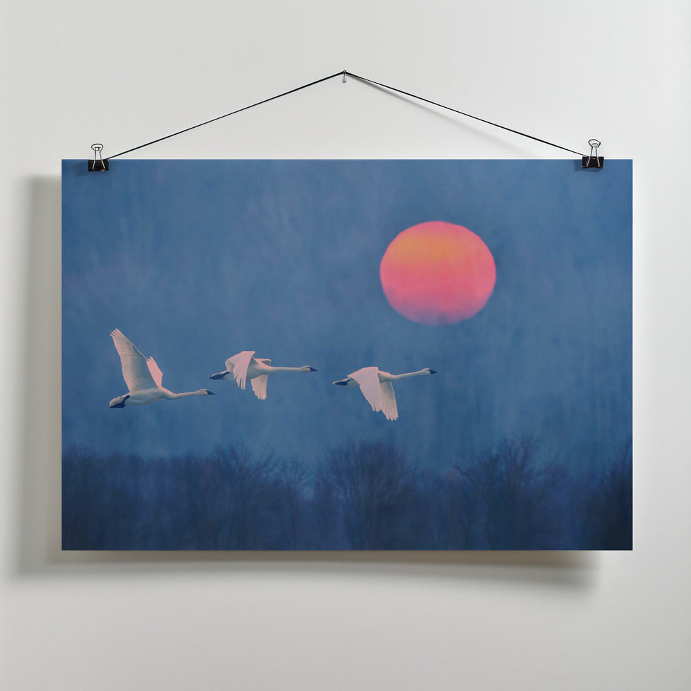 Art Prints of Foggy Sunrise