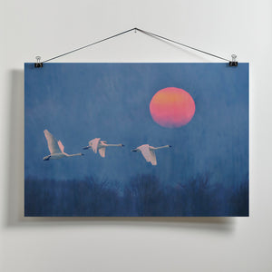 Art Prints of Foggy Sunrise