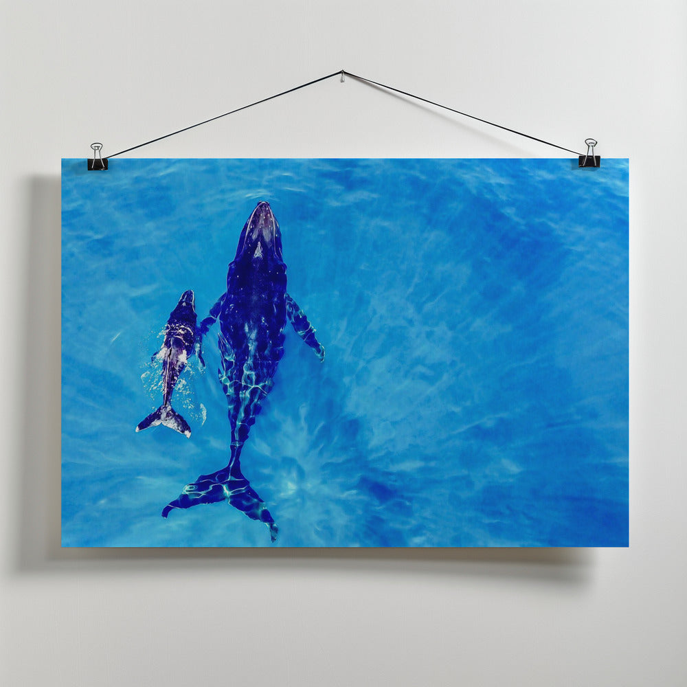 Art Prints of Discover the world