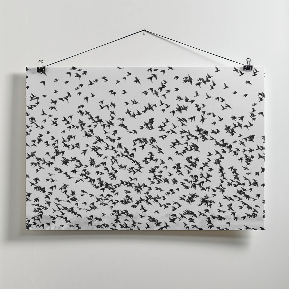 Art Prints of stars