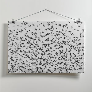 Art Prints of stars