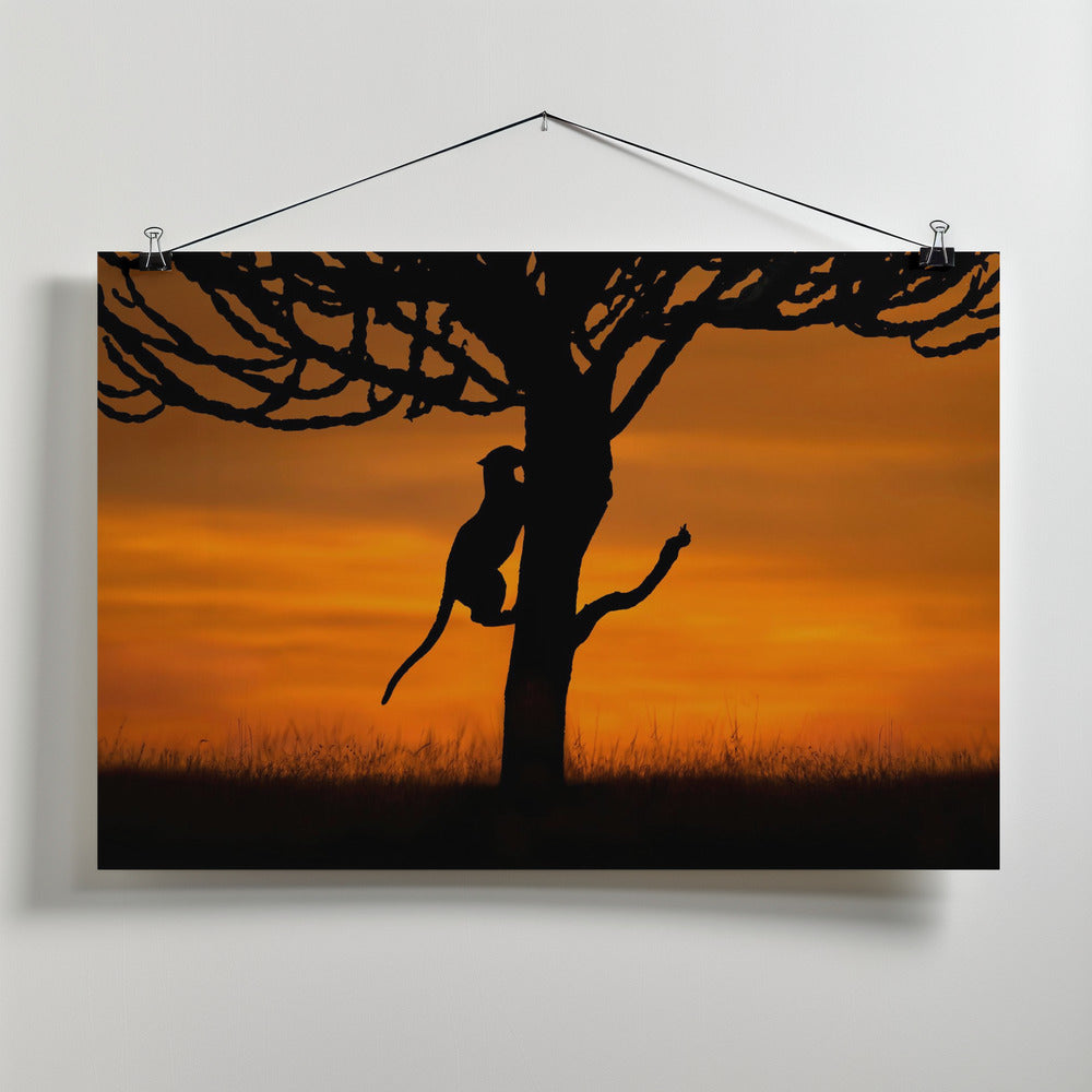 Art Prints of Back home