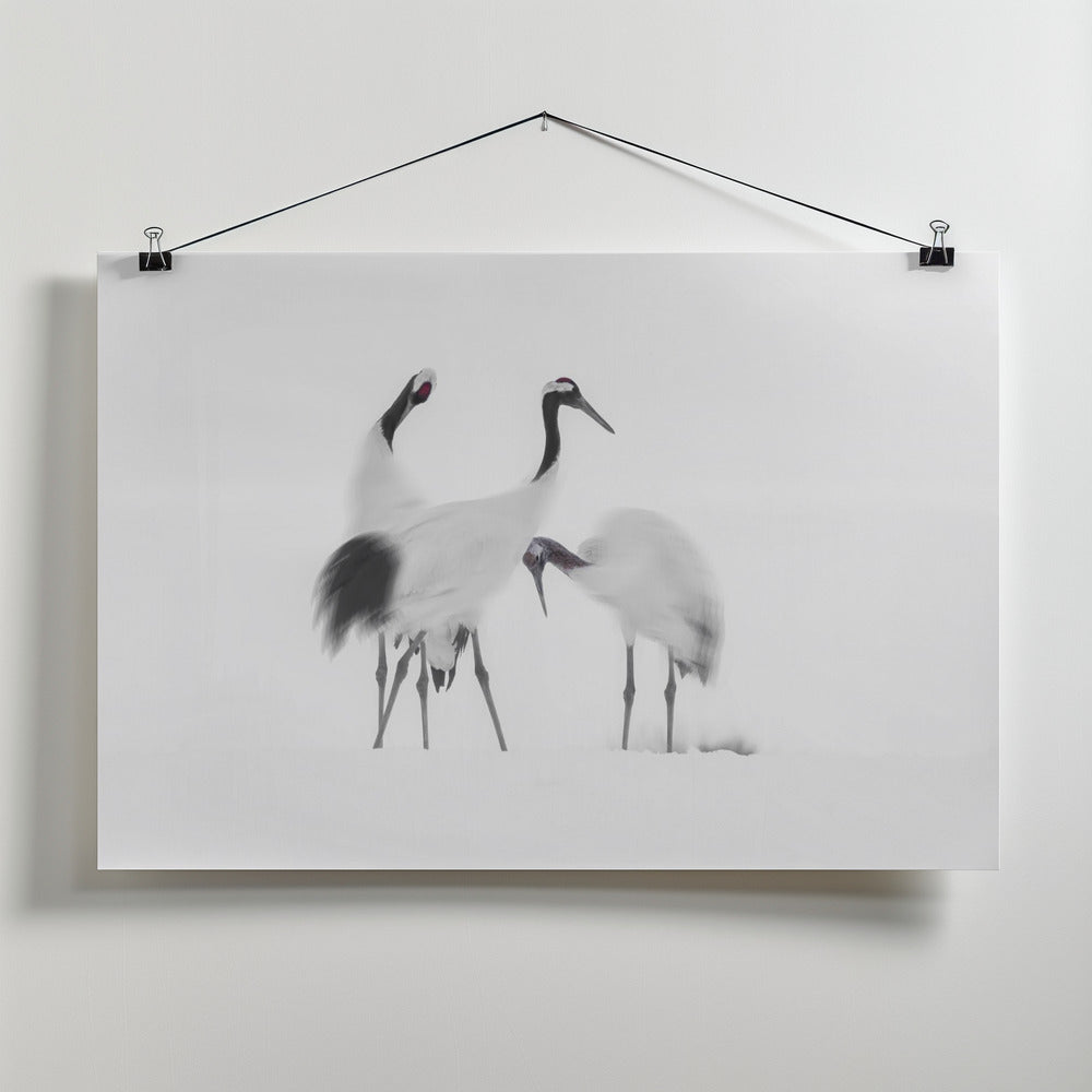 Art Prints of Family