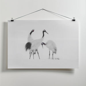 Art Prints of Family