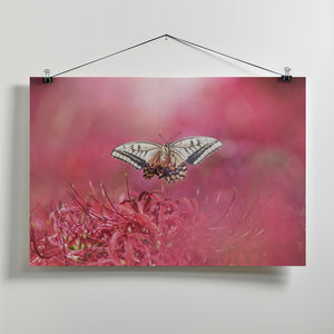 Art Prints of Fly gracefully