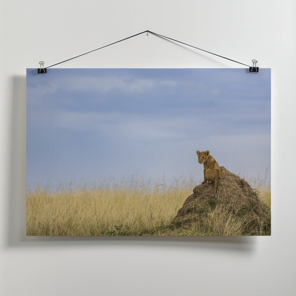 Art Prints of The Prince