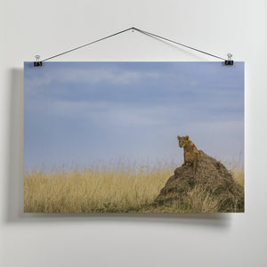 Art Prints of The Prince