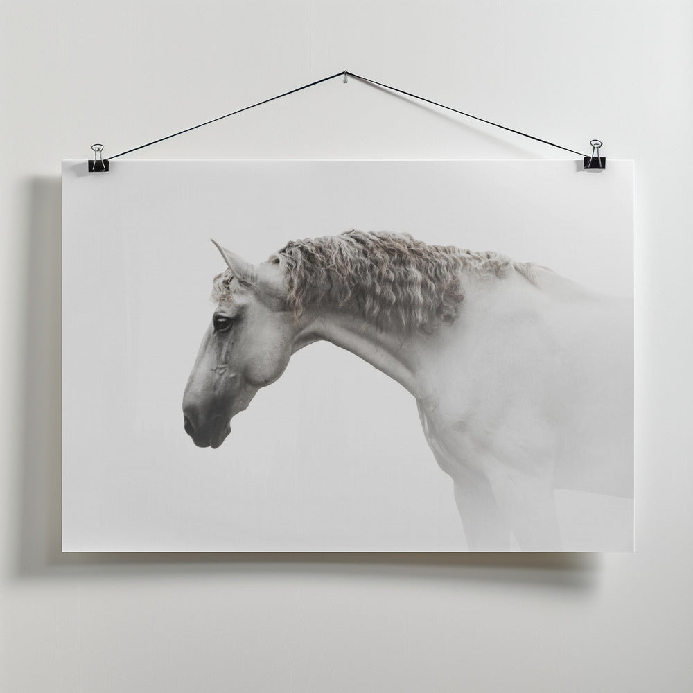 Art Prints of Curly hair…