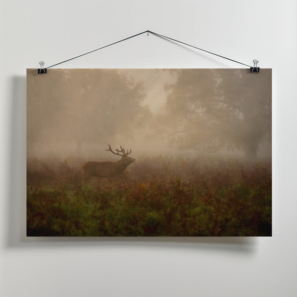 Canvas Art Print Lord of the ancient forest