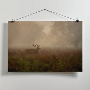 Canvas Art Print Lord of the ancient forest