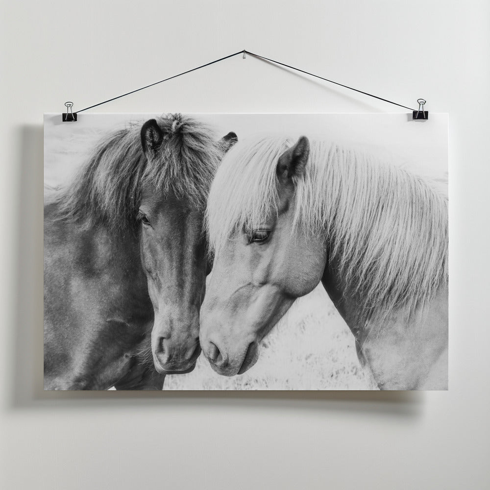 Canvas Art Print Horse Love