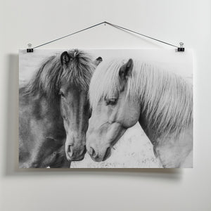 Canvas Art Print Horse Love