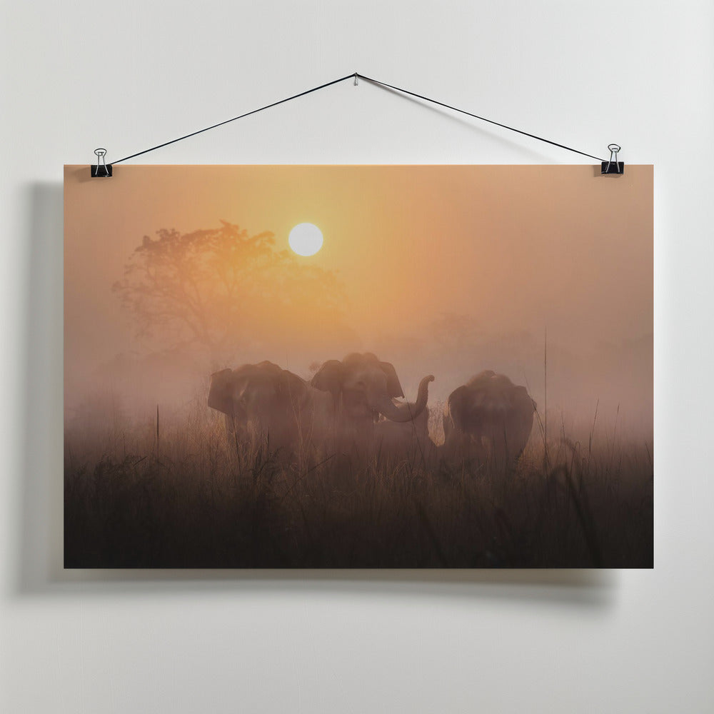 Canvas Art Print Mornings