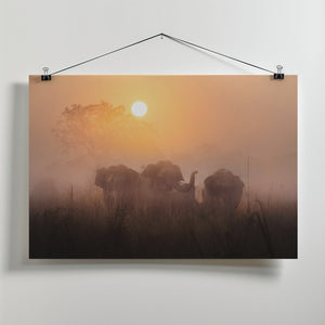 Canvas Art Print Mornings