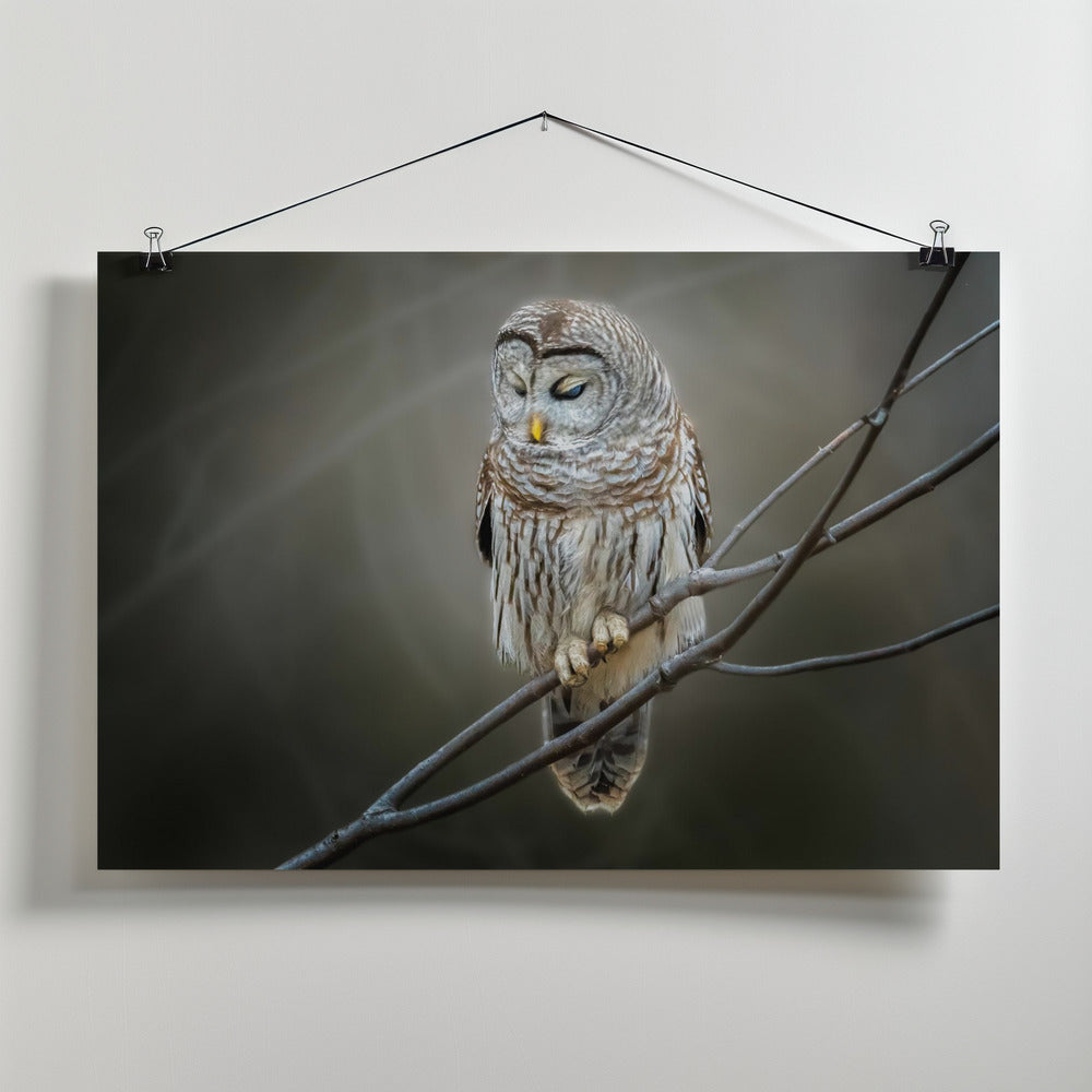 Canvas Art Print pondering...