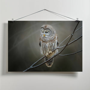 Canvas Art Print pondering...