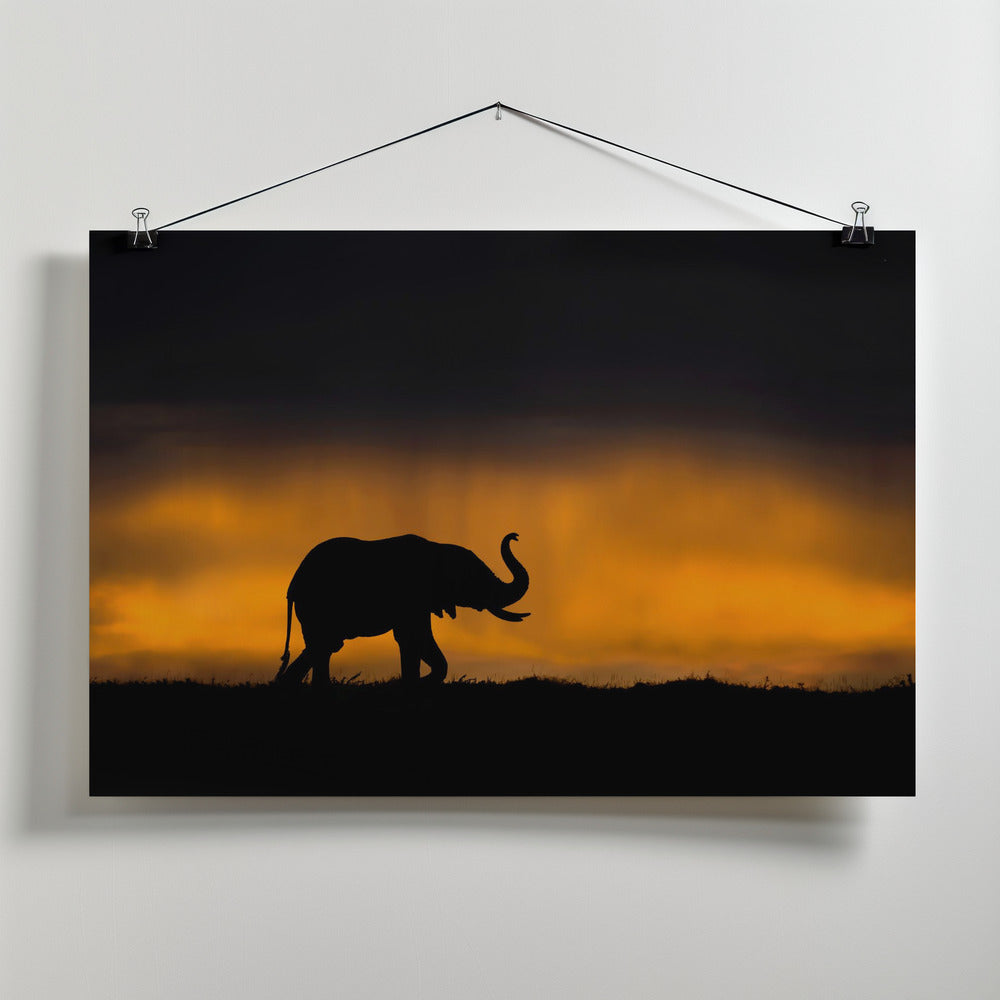 Canvas Art Print Elephant smelling the storm