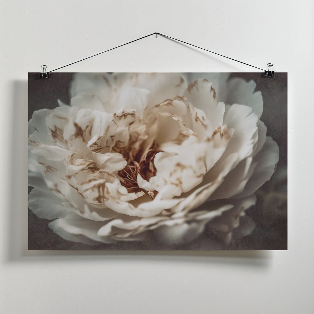 Art Prints of Nostalgicnatureno21