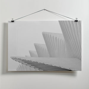 Art Prints of Fly