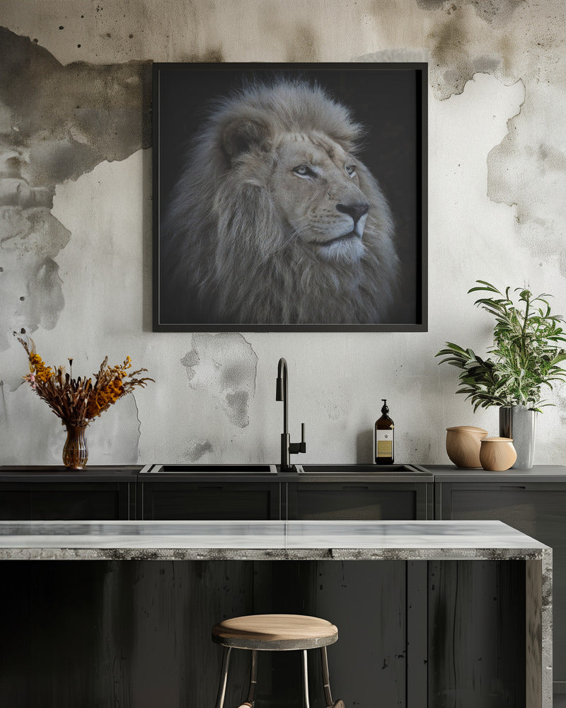 Proud Lion