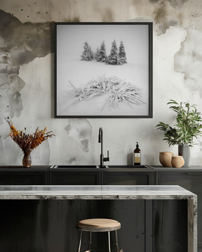 Winter scenery