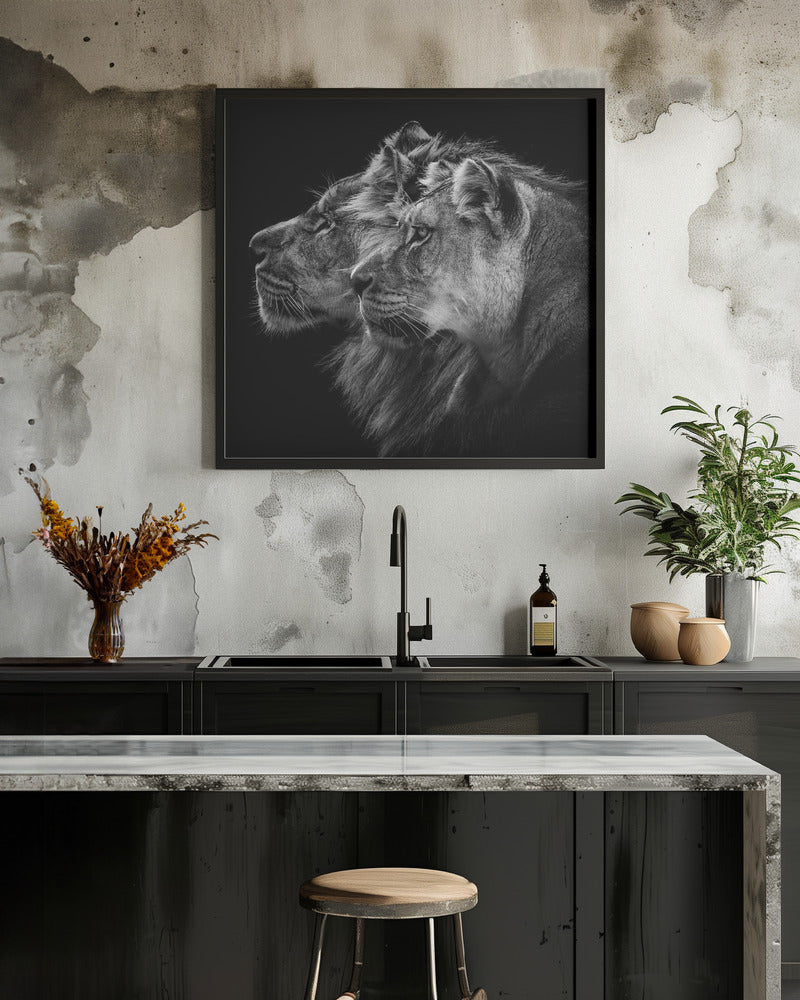 Lion and  lioness portrait