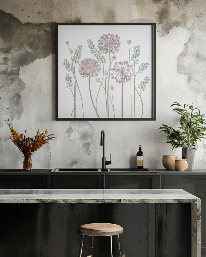 Allium