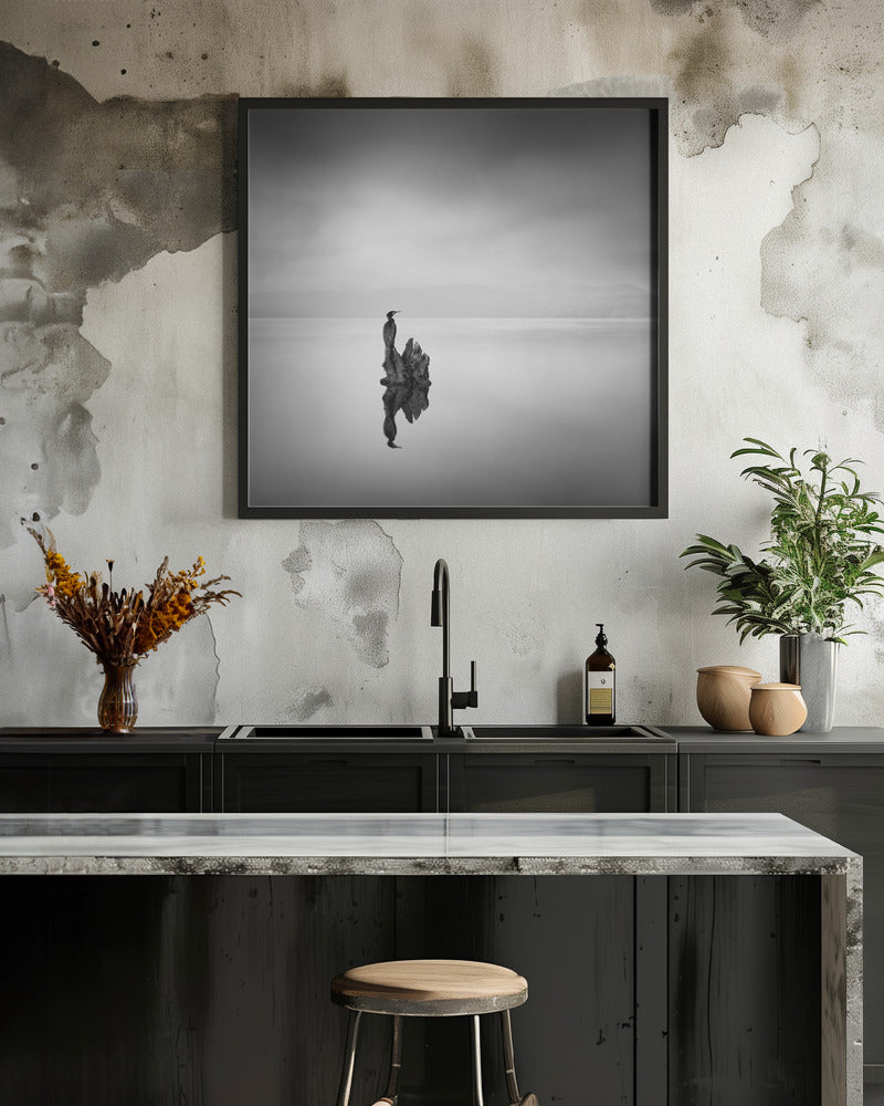 Cormorant 02