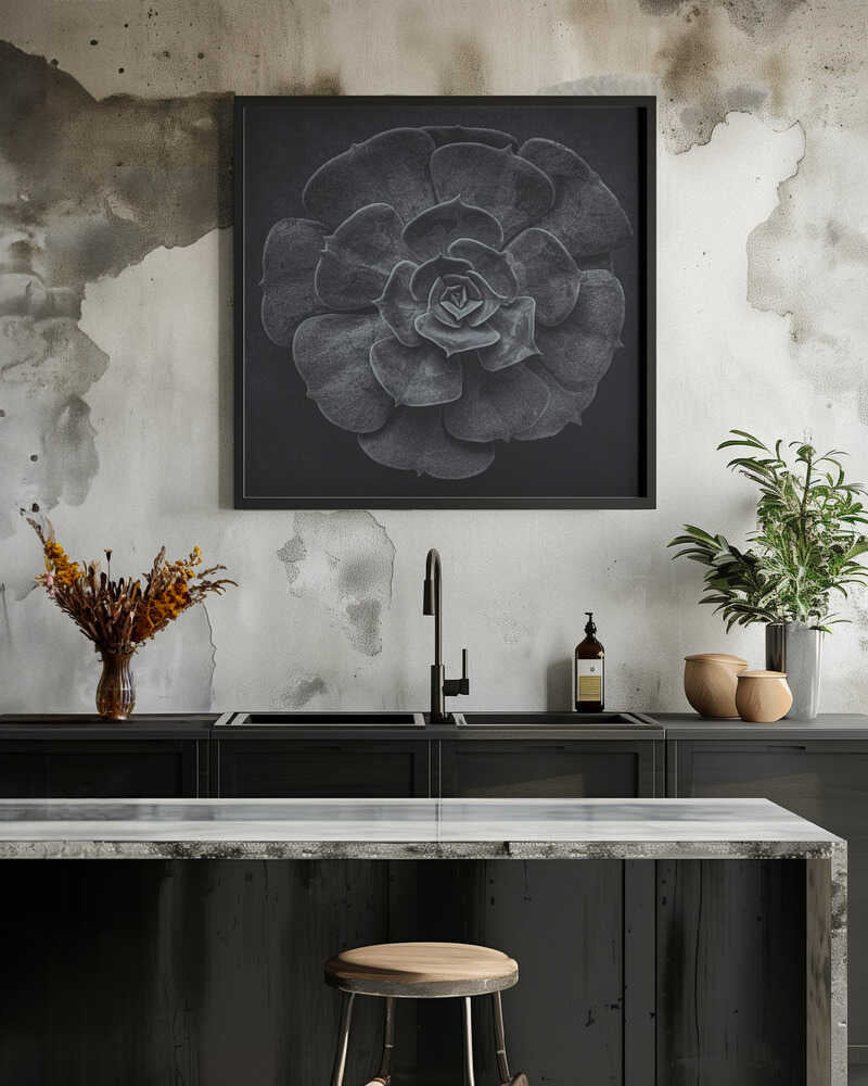 Cactus flower