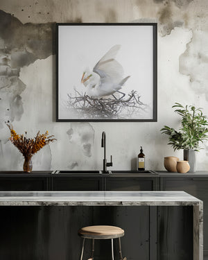 Art Prints of n/a