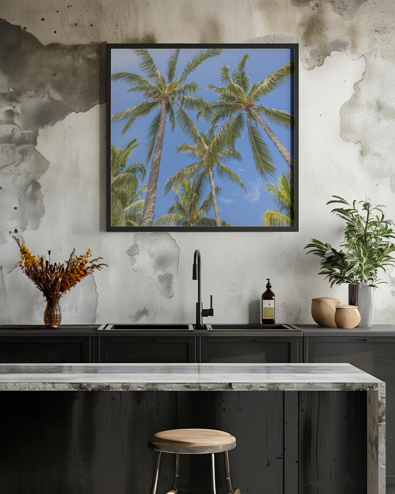 Lovely Palm Trees
