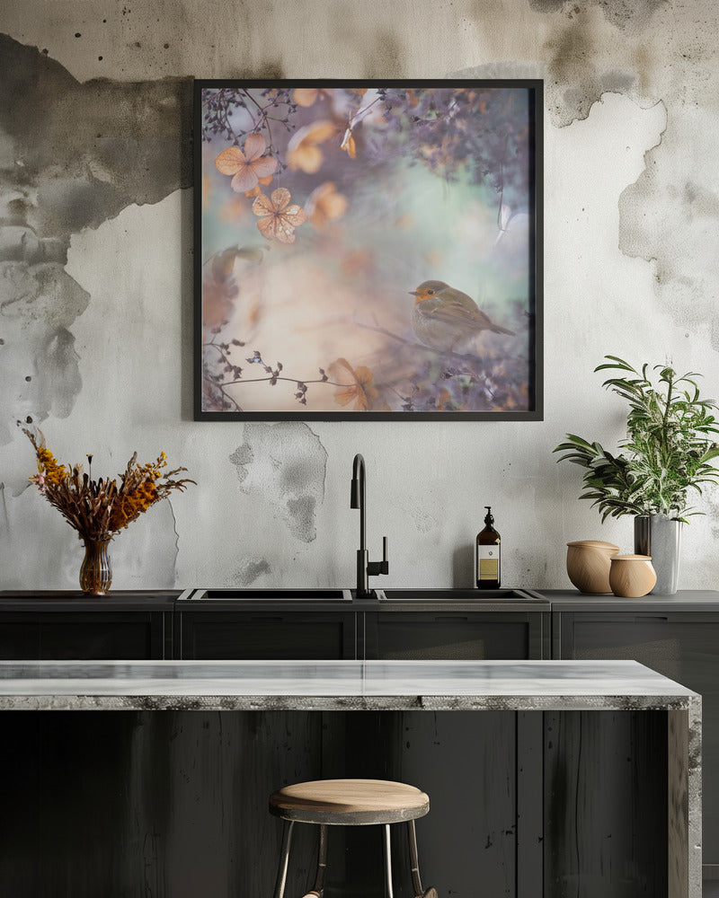 Hydrangea fantasy